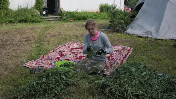 Taps nātru zupa un nātru virca dārzam