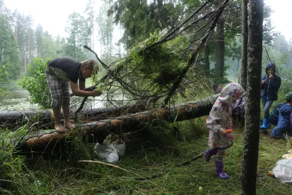 Rafaels sācis būvēt nojumi! Arī pārējie steidz palīgos.